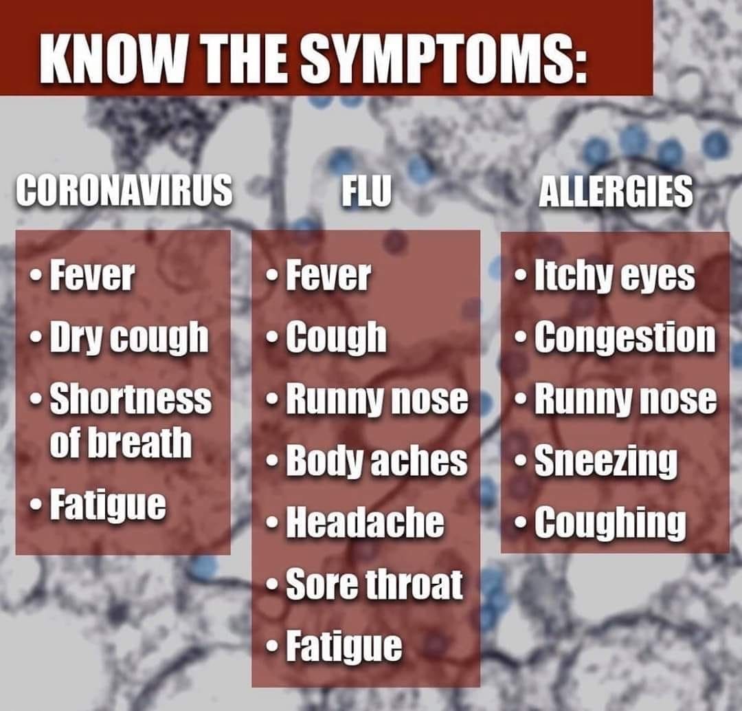flu-or-covid-19